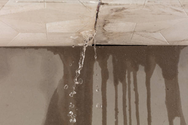 Professional Burst Pipe Cleanup technician working in Mountain View, HI